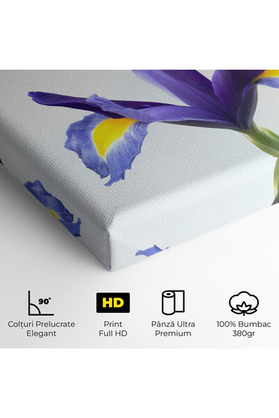 Arthub Canvas Painting, Bedroom And Living Room, Flowers, Yellow Color Iris