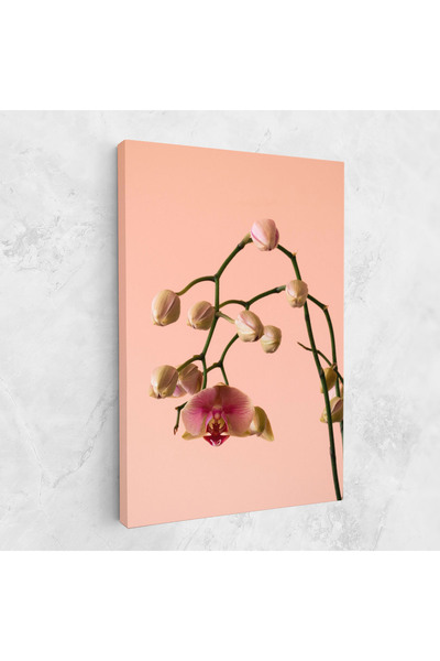 Arthub Canvas Painting, Bedroom And Living Room, Flowers, Orchids On Pink