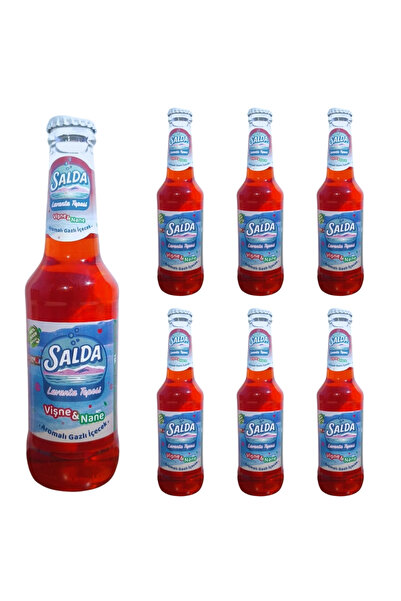 SALDA LAVANTA TEPESİ VİŞNE&NANE AROMALI GAZOZ 250 ML X 6 ADET