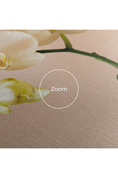 Arthub Canvas Painting, Bedroom And Living Room, Flowers, Cream Orchid On Pink