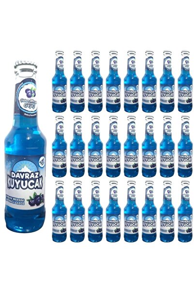 DAVRAZ KUYUCAK YABAN MERSİNİ AROMALI GAZOZ 250 ML X 24 ADET