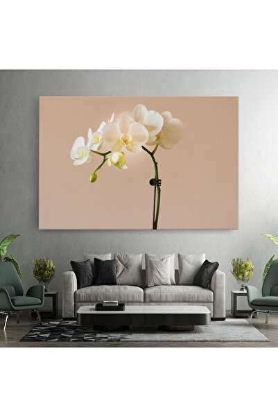Arthub Canvas Painting, Bedroom And Living Room, Flowers, Cream Orchid On Pink