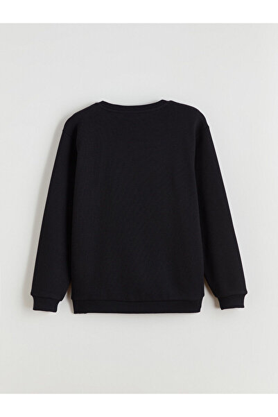 LC Waikiki Crew Neck Boy Knitwear Sweater