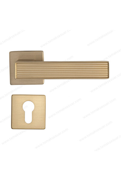 System Dıa Rozetli Kapı Kolu Altın Saten Renk Yale ( Dış Kapı Rozetli)