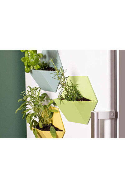Thumbsup Magnetic flower pots