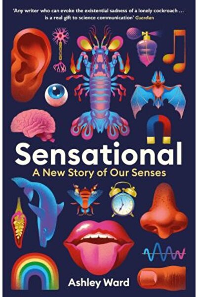 Profile Sensational: A New Story of our Senses