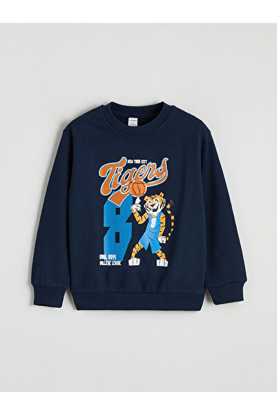 LC Waikiki Crew Neck Boy's Tracksuit Set