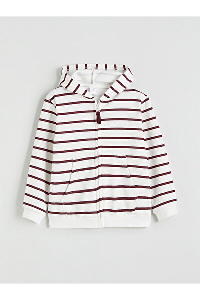 LC Waikiki Dinosaur Printed Boy