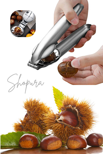 Shopura Paslanmaz Çelik Kestane Çizici - Metal Kestane Çizme Aparatı