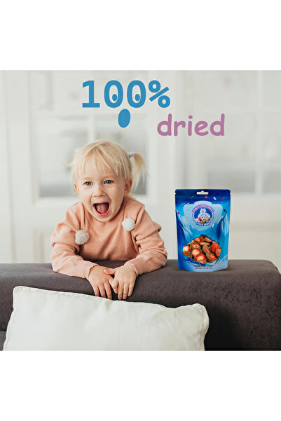 Crunchy Catchy Snacks Freeze dried Chocolate Ice Cream Infused with Strawberry Chips ( SUGAR FREE )