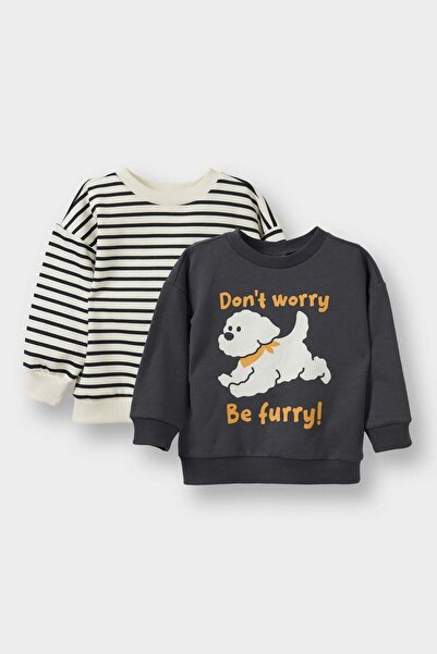 DeFacto Baby Boy Crew Neck Soft Fleece 2-Piece Sweatshirt G4865A525Wn