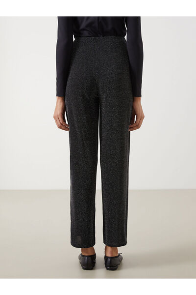 LC Waikiki Vizyon New Season Standard Fit Shiny Look Women's Trousers