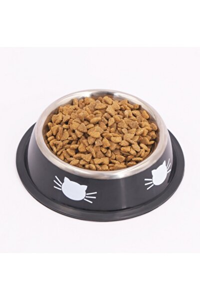 Choice Gray stainless steel cat/dog food bowl (single pack), multi-size anti-drop food bowl.