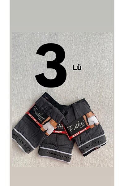 Tutku boxer elestan 3 lü