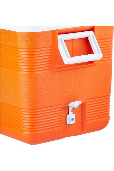 Cosmoplast Luxury Plastic Cooler Box, 40.5 L
