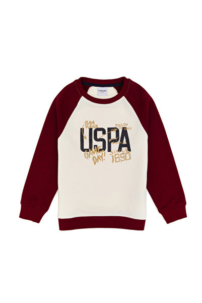U.S. Polo Assn. Boy's Burgundy Crew Neck Sweatshirt 50316542-Vr014