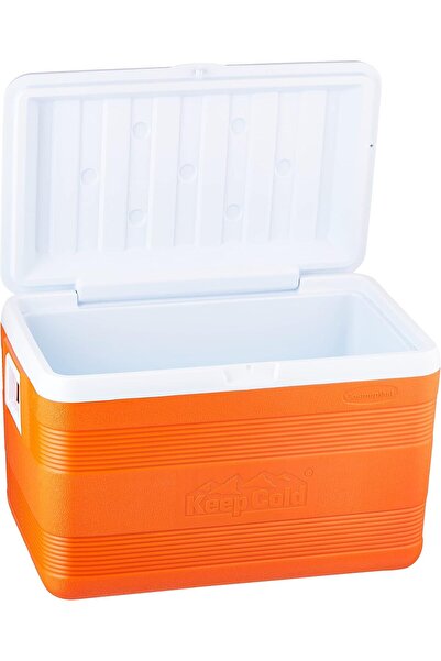 Cosmoplast Luxury Plastic Cooler Box, 40.5 L