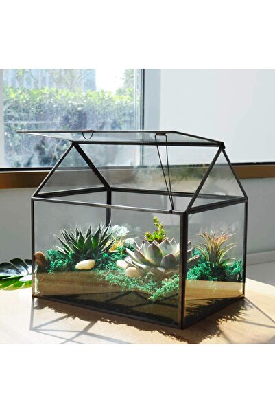 Generic حوض نباتات زجاجي كبير، طقم أوعية زراعة ذات حواف زجاجية (أسود 1)