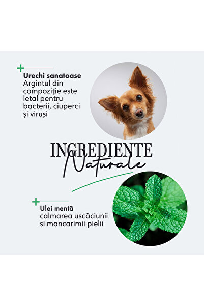 Always Your Friend Spray de curățare a urechilor pentru animale de companie, Always Your Friend, Fabricat manual, 100 ml