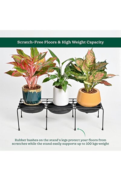 Ugaoo Metal Plant Stands, Set of 4, Rust-Proof Coating, Rectangular Black