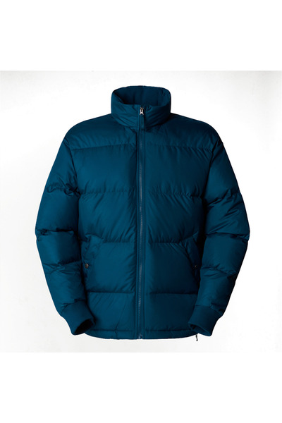 THE NORTH FACE M DOWN PARALTA منتفخ