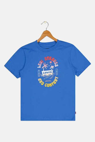 Levi's Kids Boy Crew Neck Short Sleeve Graphic Print T-Shirt, Blue