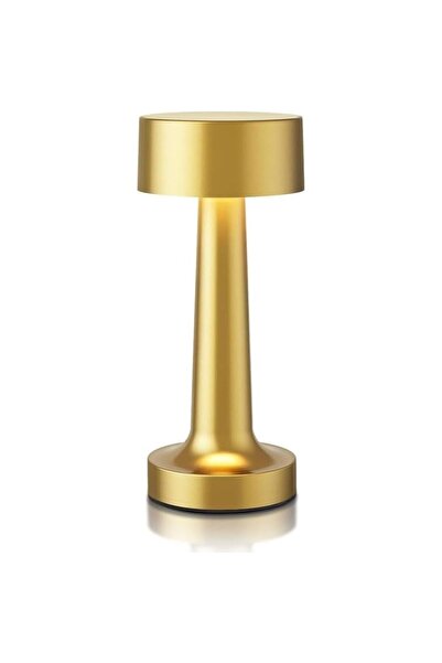 Casa care 3-Levels Brightness Metal Rechargable Portable LED Table Lamp, Gold