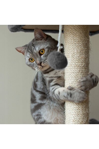 zola Cat play set, claw sharpener, ball toy, sleeping place, 71 x 44 x 34 cm, grey