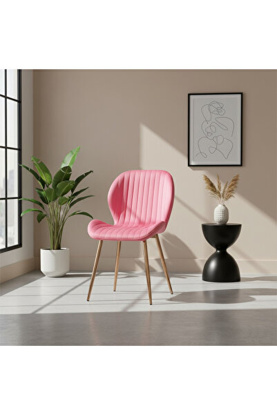 ARTA DOOR Opal Pink Chairs-2 Textile, Gold Rose Leg - Modern, HoReCa, Kitchen, Living Room, Office, Bedroom