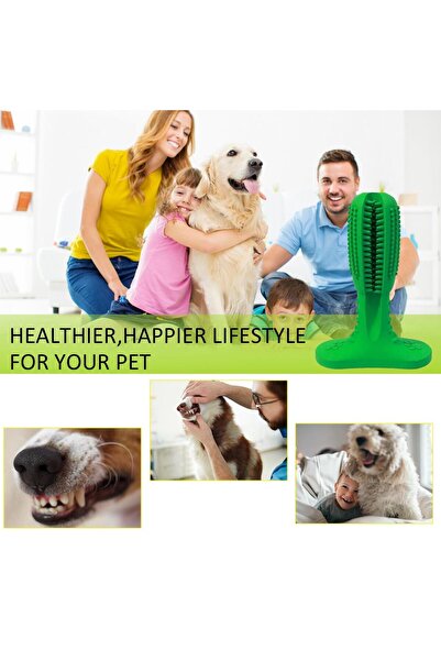 zola Dog teeth cleaning toy, 2 surfaces, strengthens gums, rubber, 10.3x4.2x14.6 cm, green