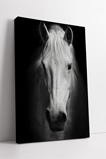 KOSS Dijital Pictură pe pânză cu portret de cal alb, alb-negru, decor modern ...