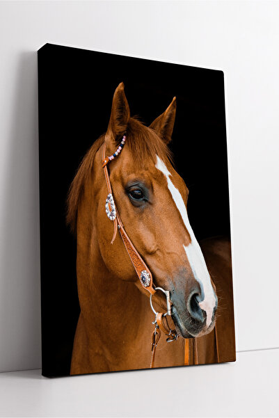 KOSS Dijital Pictură pe pânză cu portret de cal maro, decor modern de perete ...