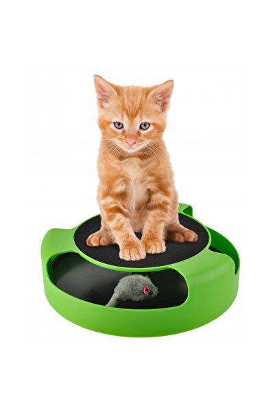 zola Interactive cat toy, catch the mouse, with scratching post, green