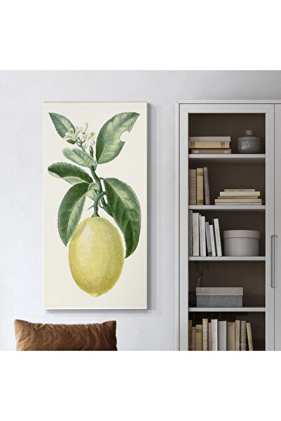 ALAYRA International Green Turpin Orange Citrus Fruit Wall Art – Canvas Paint...