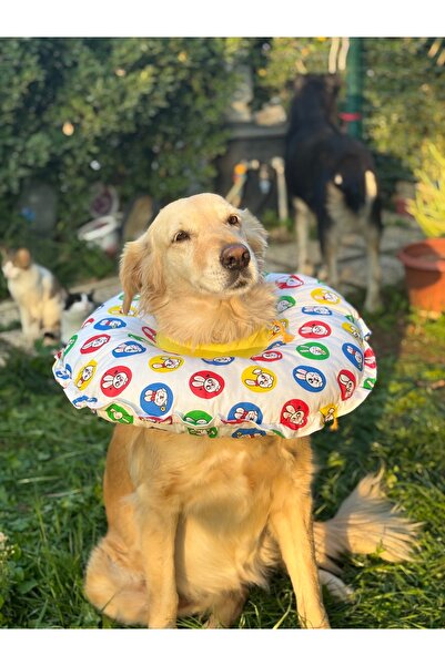 Petris 0.rta-Büyük.Irk Köpek Boyunluk-elizabeth Yakalık Operasyon Boyunluk-ke...