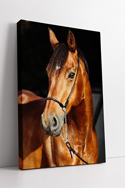 KOSS Dijital Pictură pe pânză cu portret de cal maro, decor modern de perete ...