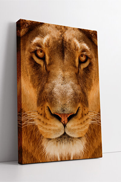 KOSS Dijital Pictură pe pânză cu fața de leu în tonuri calde care reflectă puterea sălbatică și eleganța decor modern de perete