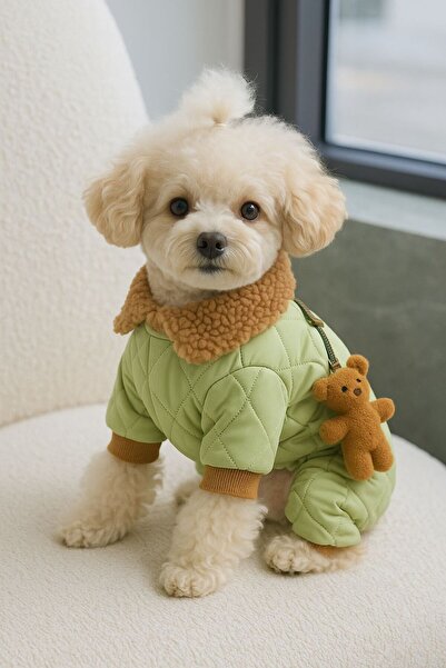 Dolce Pets Kedi Köpek Kıyafeti Ayıcıklı Tulum Mont