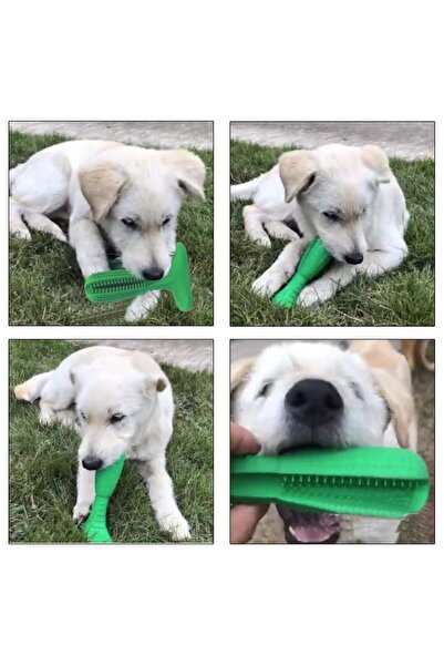 zola Dog teeth cleaning toy, 2 surfaces, strengthens gums, rubber, 10.3x4.2x14.6 cm, green