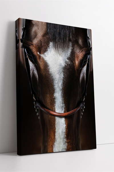 KOSS Dijital Pictură pe pânză cu portret în plan apropiat, decor modern minim...