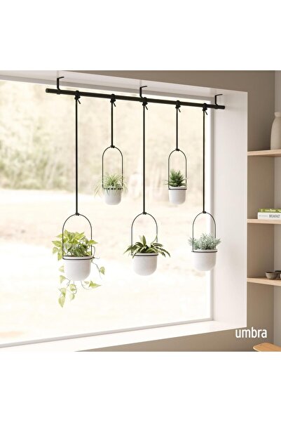 umbra Triflora Hanging Planters, Set of 5, White, Polypropylene (PP)