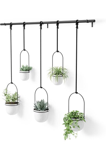 umbra Triflora Hanging Planters, Set of 5, White, Polypropylene (PP)