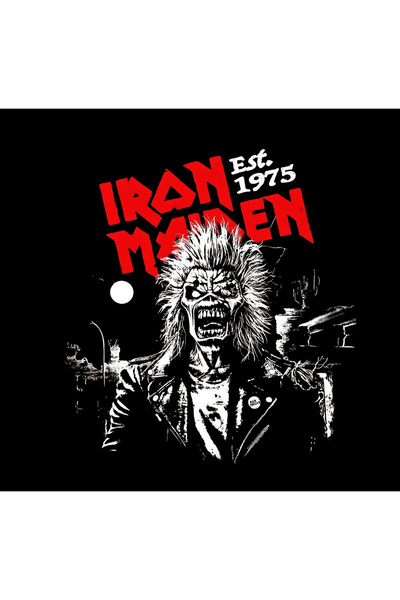 fame-stoned Iron Maiden - Metal - Music Band Printed Unisex 100% Cotton Black T-Shirt