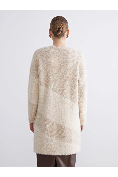 LC Waikiki LCWAIKIKI Classic Şal Yaka Renk Bloklu Kadın Triko Hırka