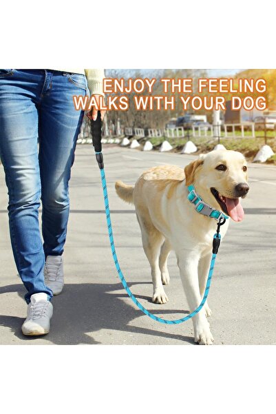HESPERUS حبل مشي للكلاب 120 سم - حبل مضفر، متين ومريح