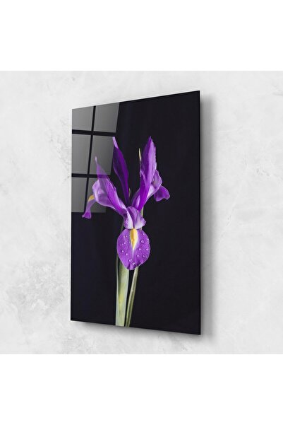 Arthub Glass Painting, Bedroom and Living Room, Iris, Fresh Purple Iris