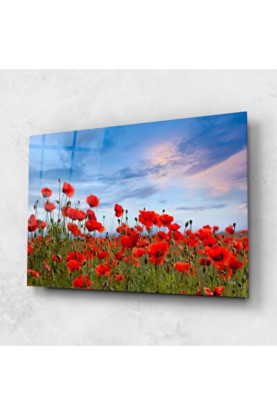 Arthub Tablou Sticla,Dormitor si Living, Maci, Poppy Field