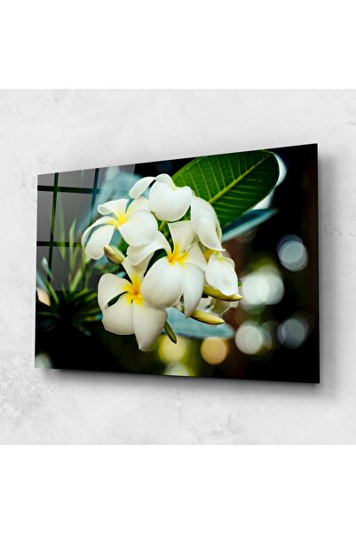 Arthub Tablou Sticla,Dormitor si Living, Flori Exotice, Beautiful White Exotic