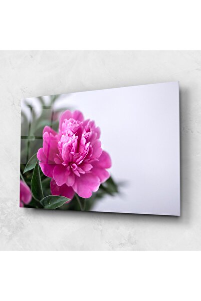 Arthub Tablou Sticla,Dormitor si Living, Bujori, Dark Pink Peony