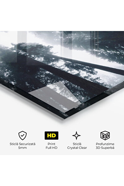 Arthub Glass Painting, Bedroom and Living Room, Forests, Foggy Big Trees